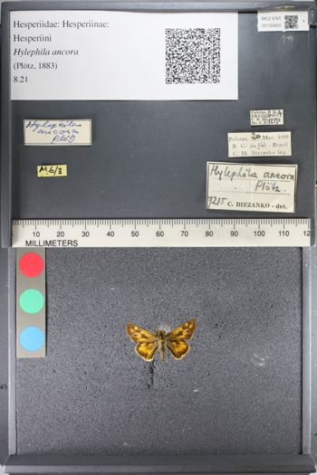 Media type: image;   Entomology 135820